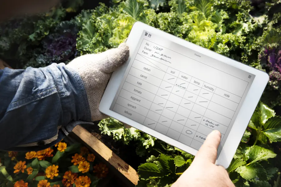 Machine learning strategy for businesses
